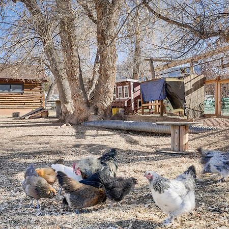 Cozy Parowan Studio 12 Mi To Brian Head Resort! 外观 照片