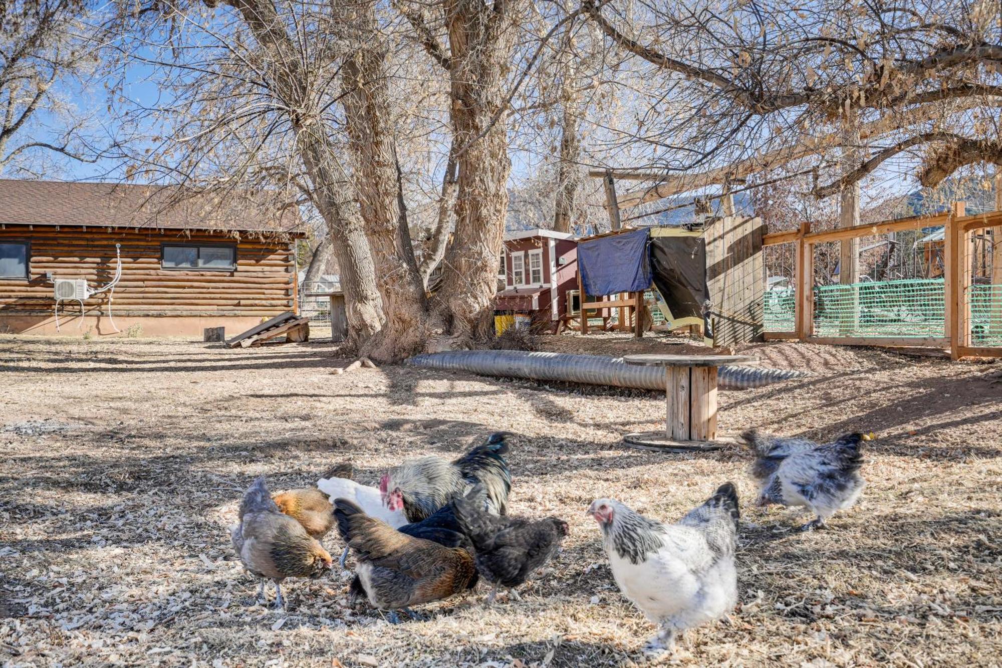 Cozy Parowan Studio 12 Mi To Brian Head Resort! 外观 照片